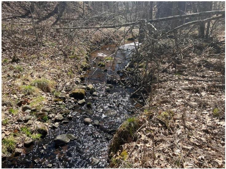 43TBD Red Oak Lane Stone Lake WI 54876 - Slim Lake 1600230 image9