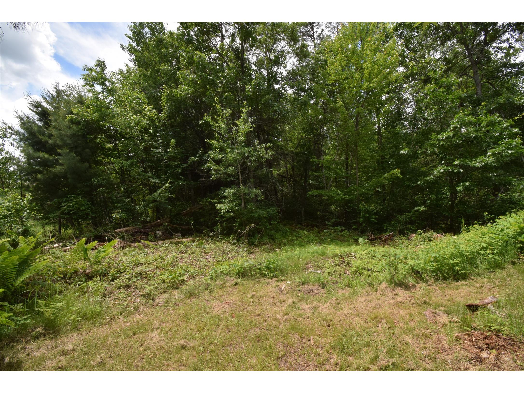 4411 Lunsman Drive Danbury WI 54830 1602606 image35