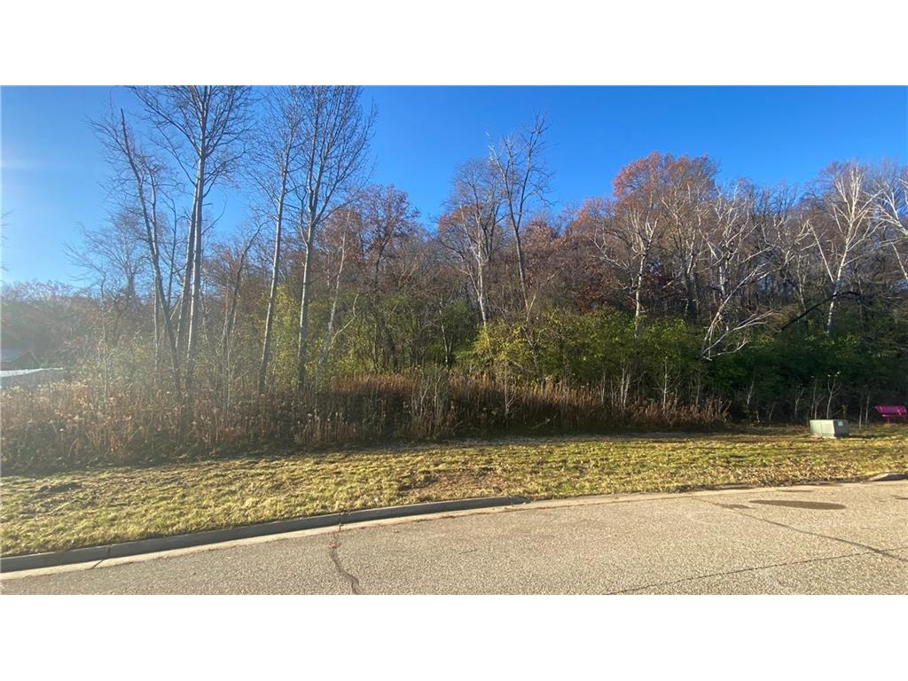 4419 Twin Oaks Court Eau Claire WI 54701 1587245 image5