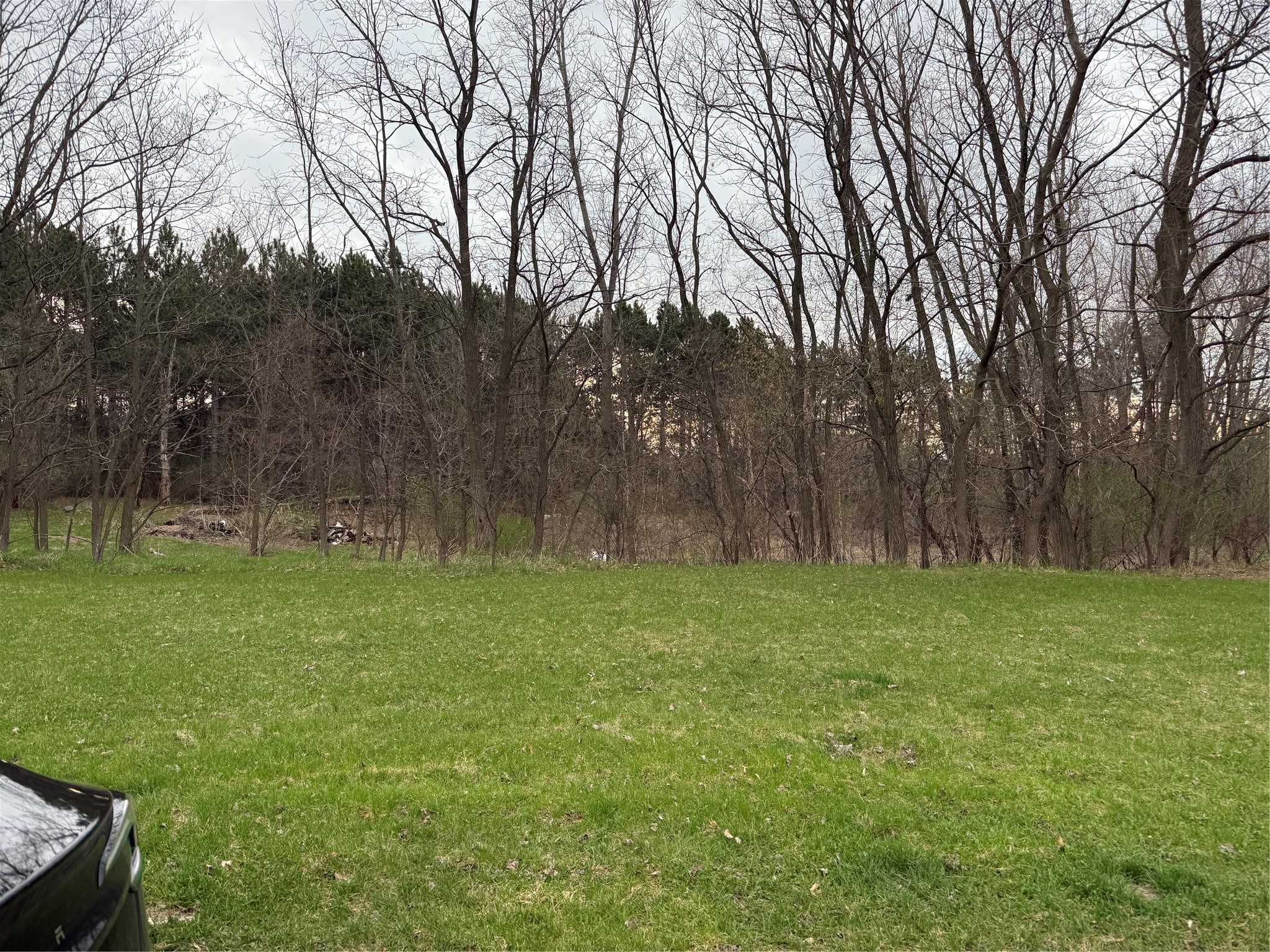 4437 Old Wells Road Eau Claire WI 54703 - Chippewa River & Dells Pond 1600198 image19