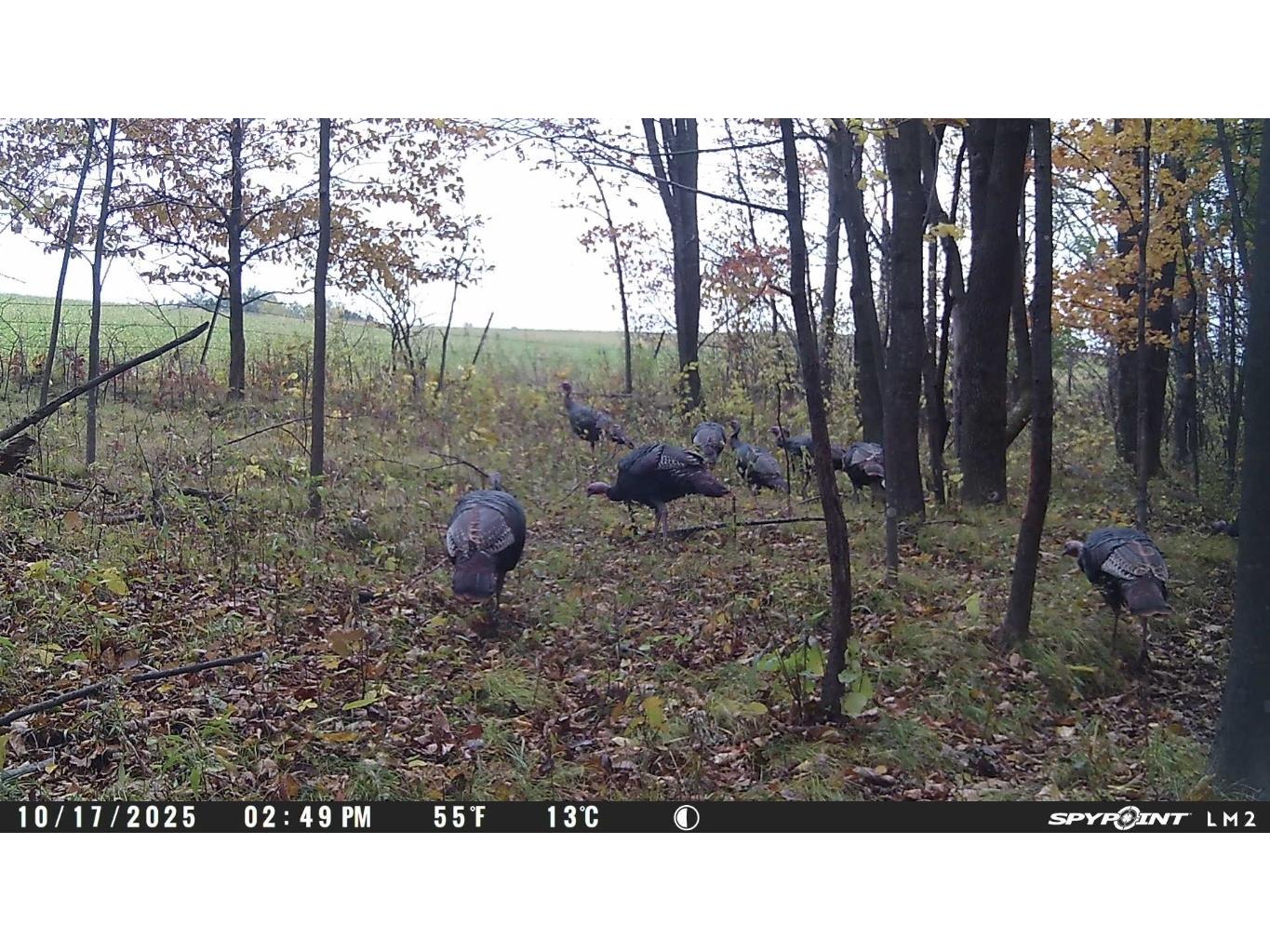 4505 State Highway 27 Cadott WI 54729 1599575 image24