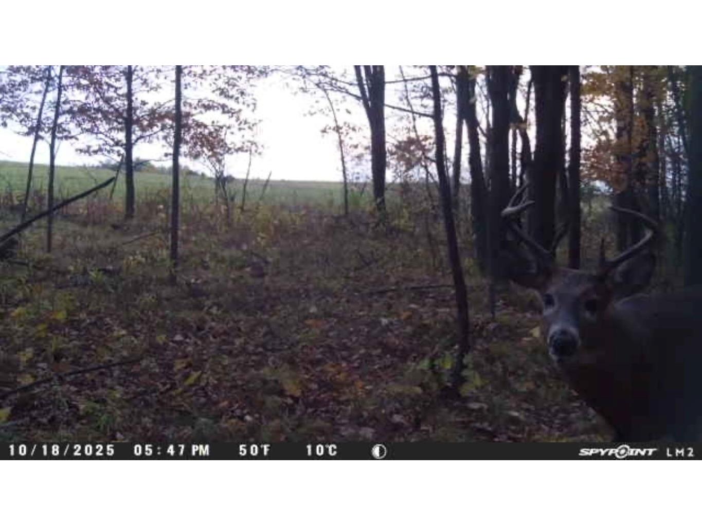 4505 State Highway 27 Cadott WI 54729 1599575 image25