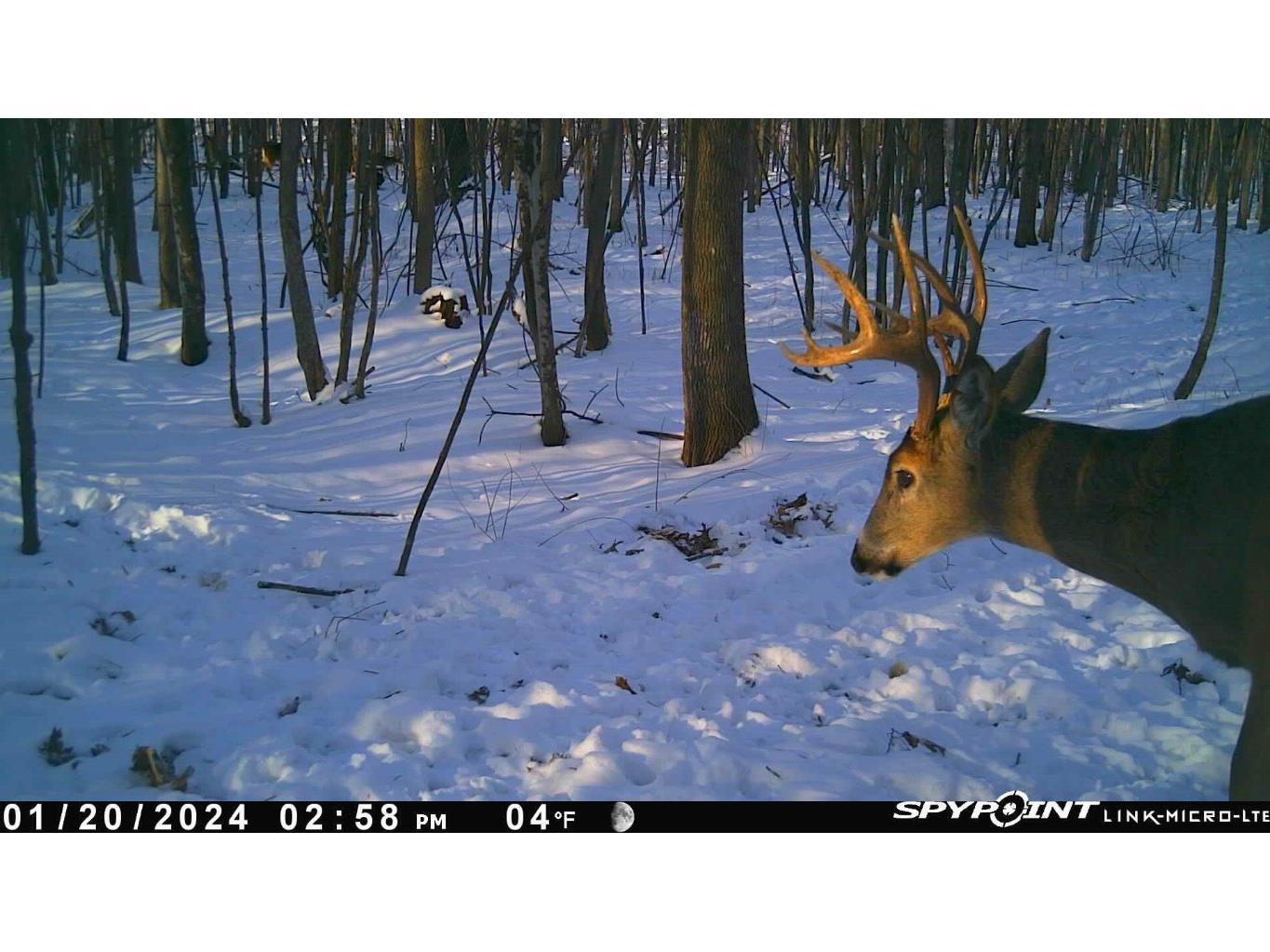 4505 State Highway 27 Cadott WI 54729 1599575 image28