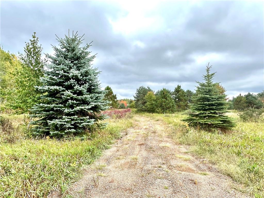 4505 State Hwy 27 Cadott WI 54729 1577176 image1