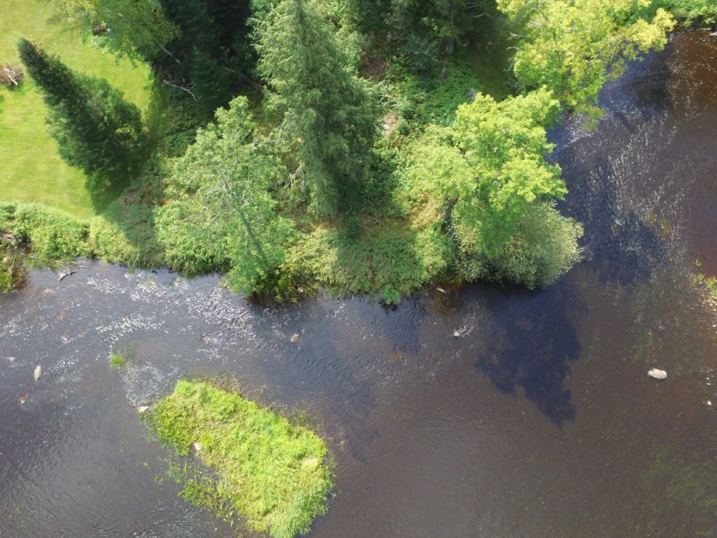 4544W Blaisdell Court Winter WI 54896 - East Fork Chippewa River 1591170 image5