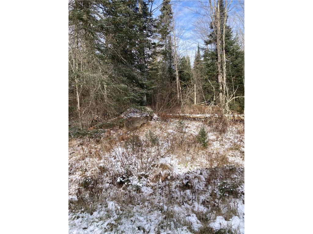 45xx W Clover Road N Winter WI 54896 1578657 image1