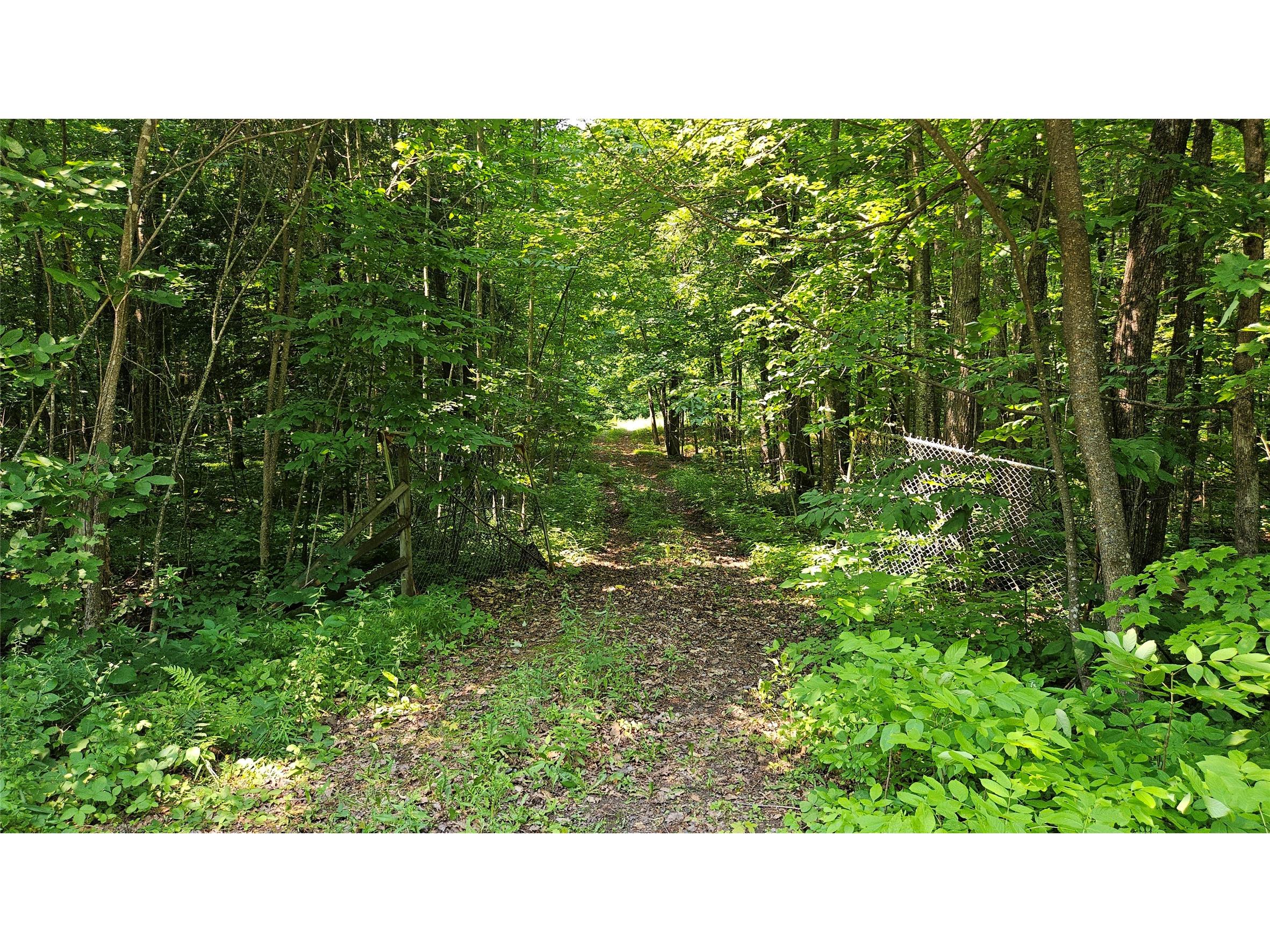 4687 N Valesh Road Couderay WI 54828 1602810 image1