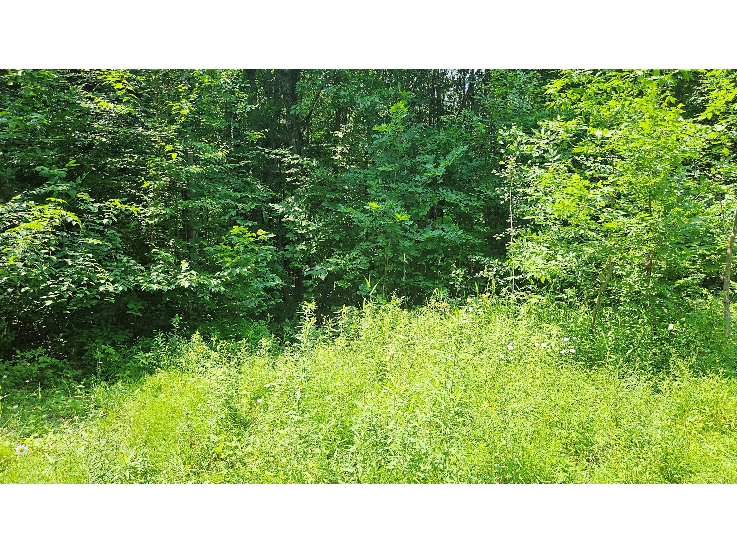 4687 N Valesh Road Couderay WI 54828 1602810 image10