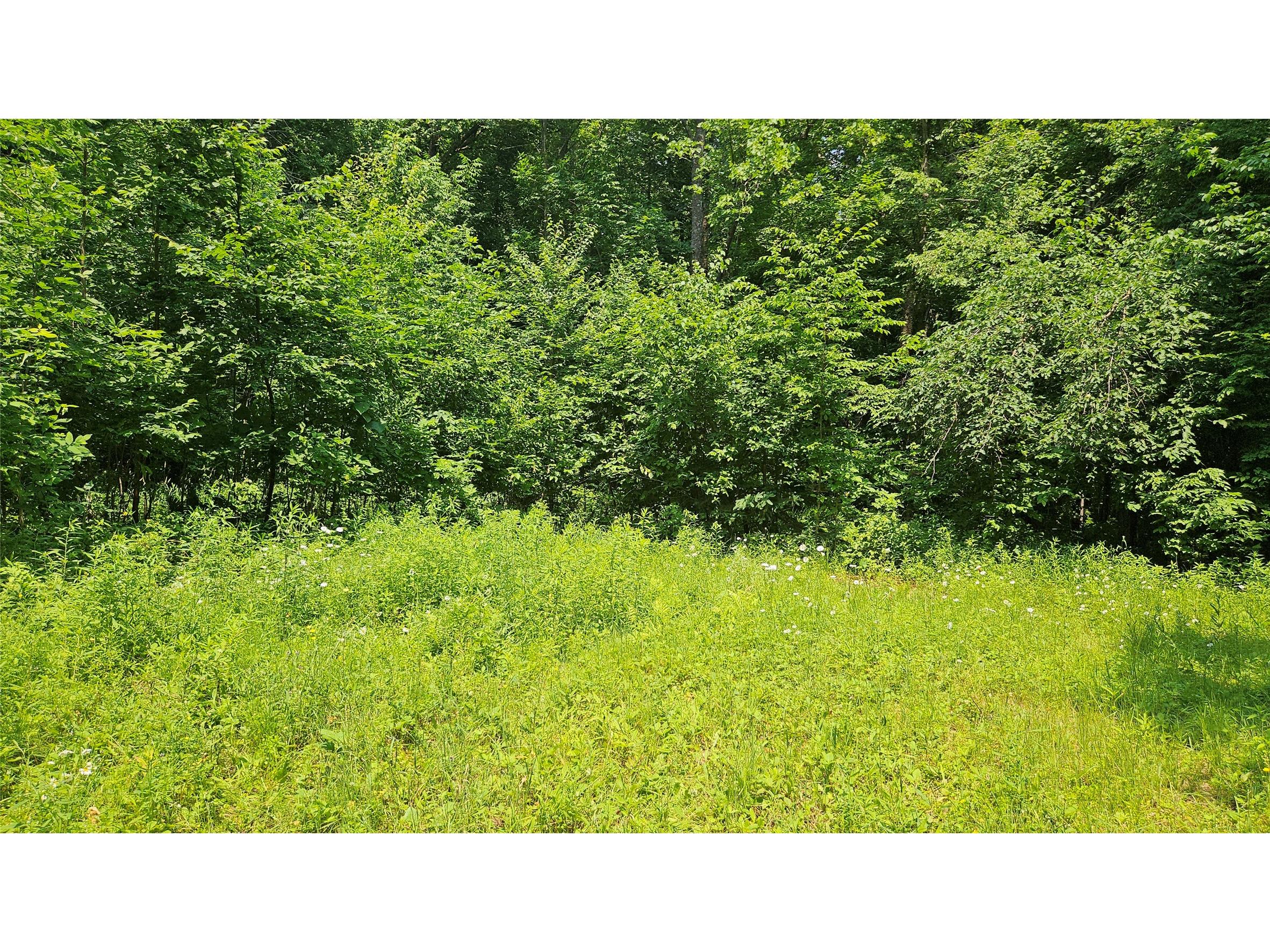 4687 N Valesh Road Couderay WI 54828 1602810 image11