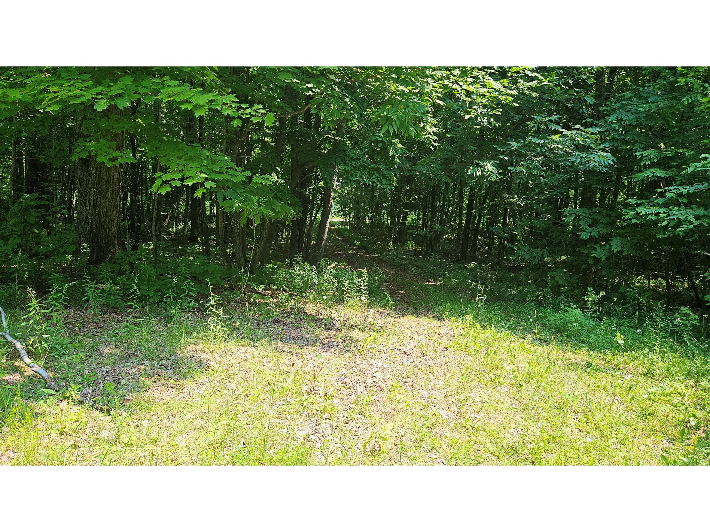 4687 N Valesh Road Couderay WI 54828 1602810 image12