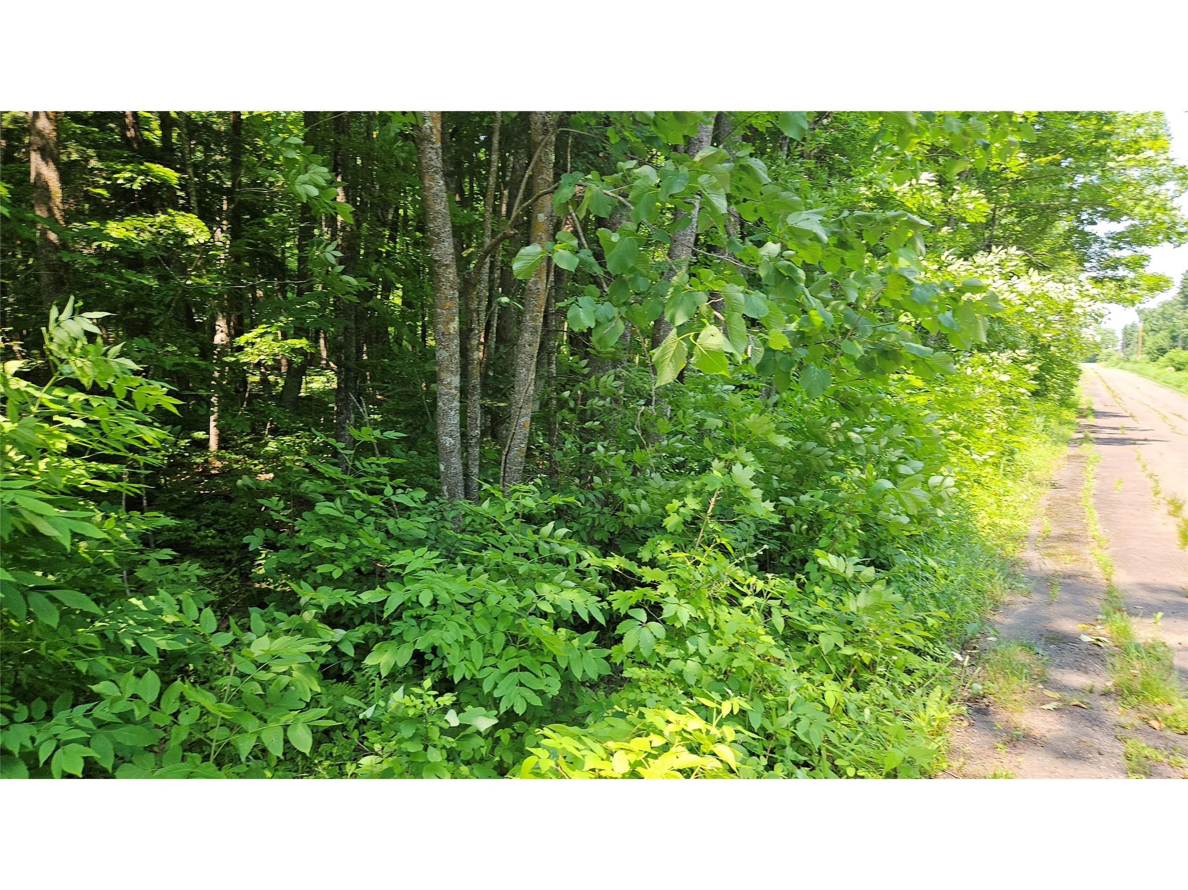 4687 N Valesh Road Couderay WI 54828 1602810 image3
