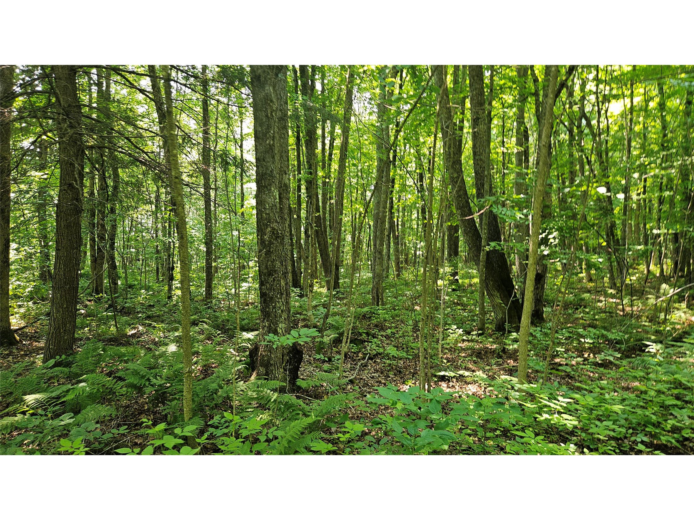 4687 N Valesh Road Couderay WI 54828 1602810 image6