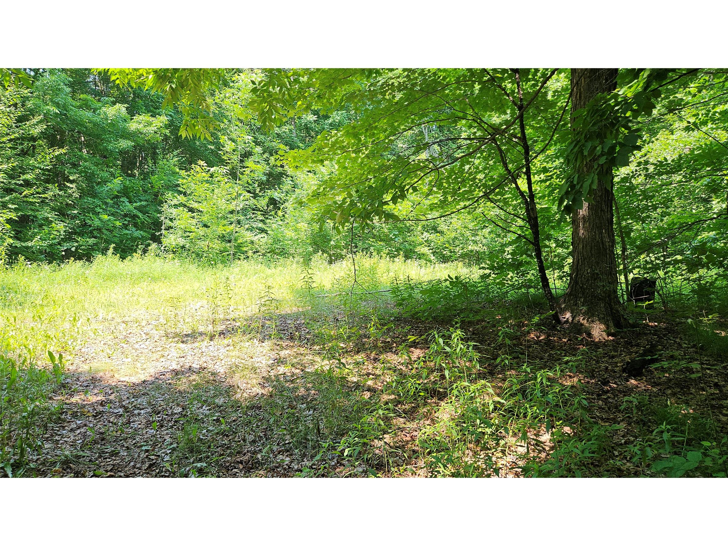 4687 N Valesh Road Couderay WI 54828 1602810 image8