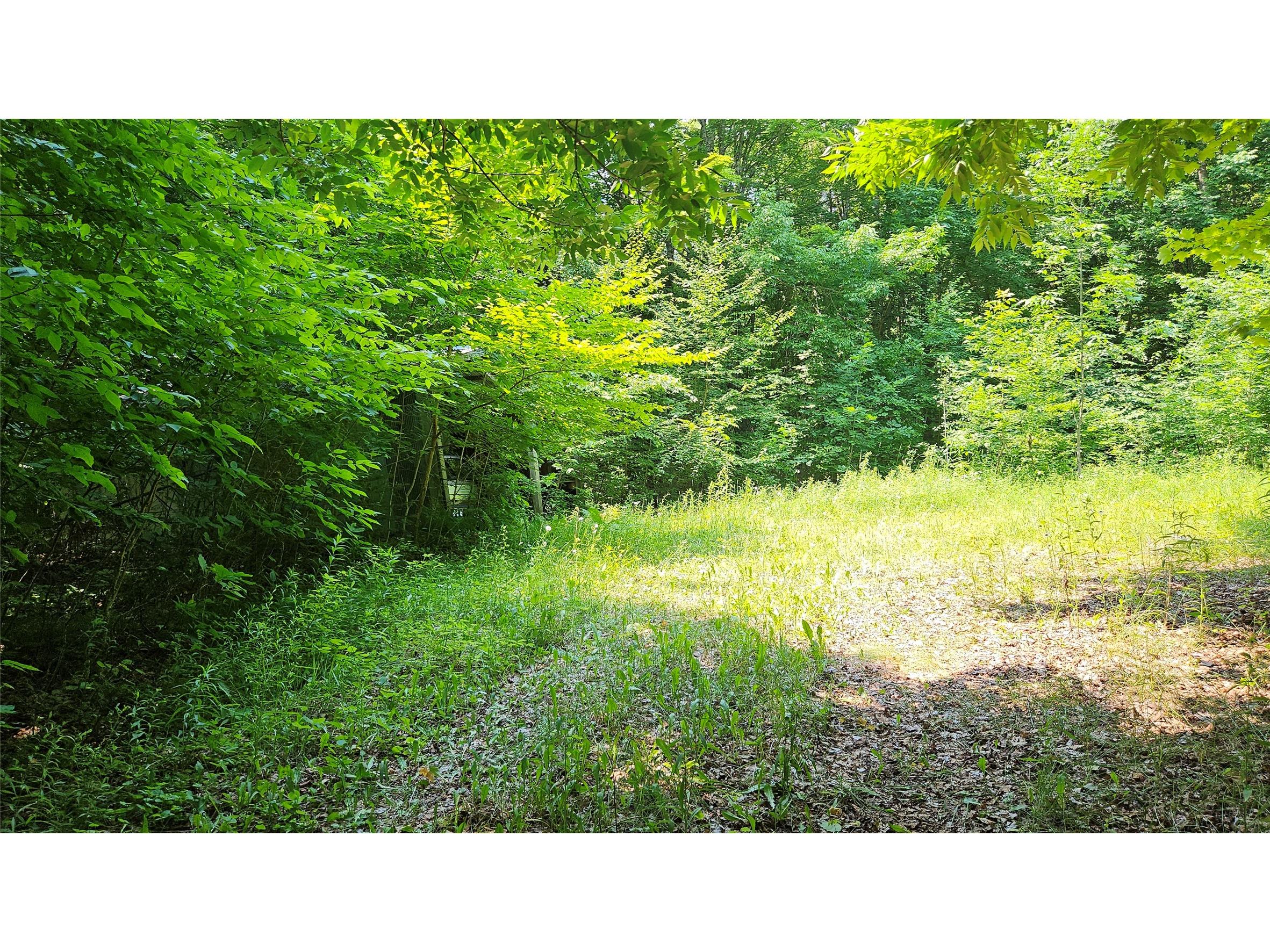 4687 N Valesh Road Couderay WI 54828 1602810 image9