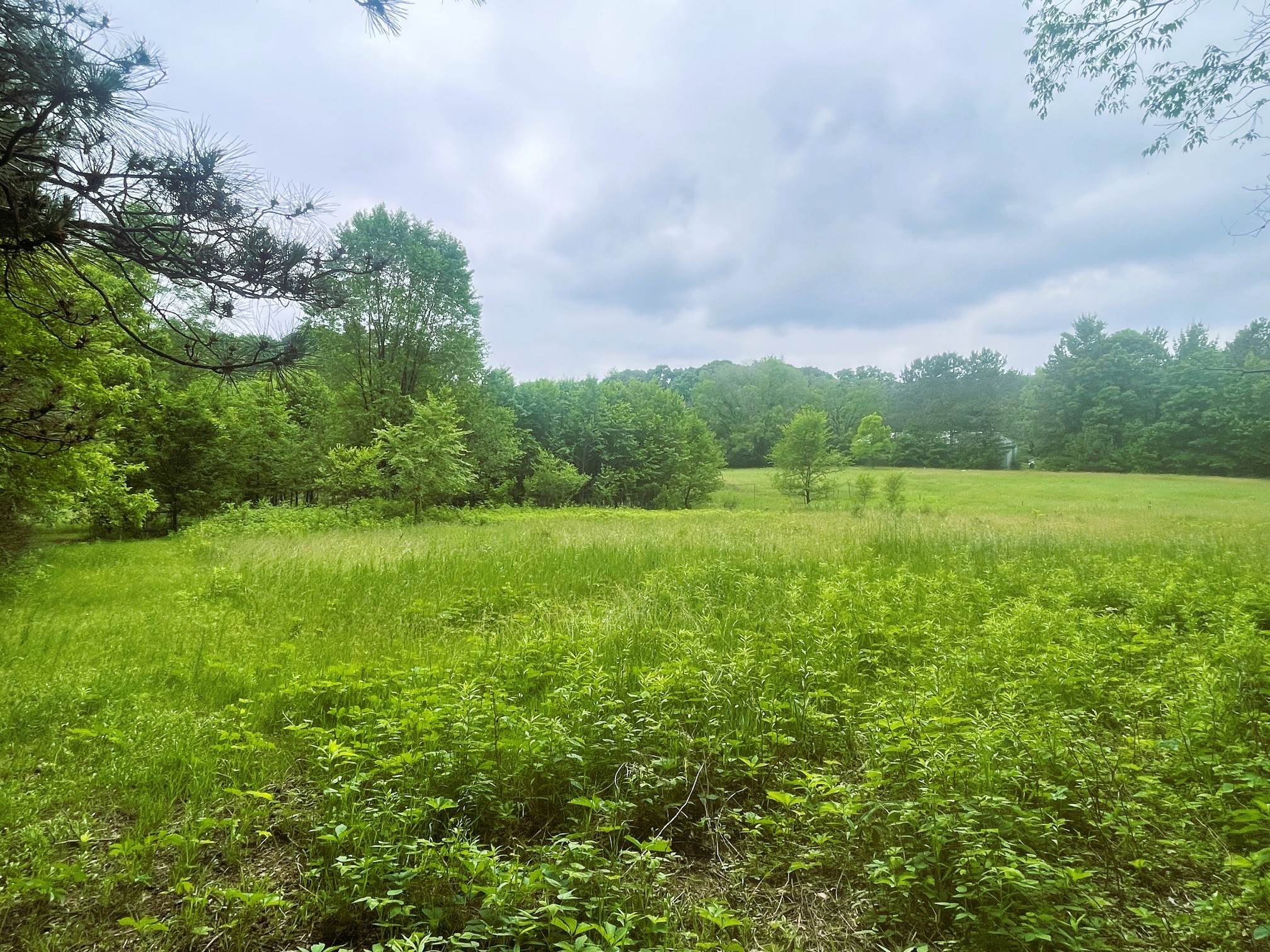 4715 Olson Drive Eau Claire WI 54703 1601978 image12