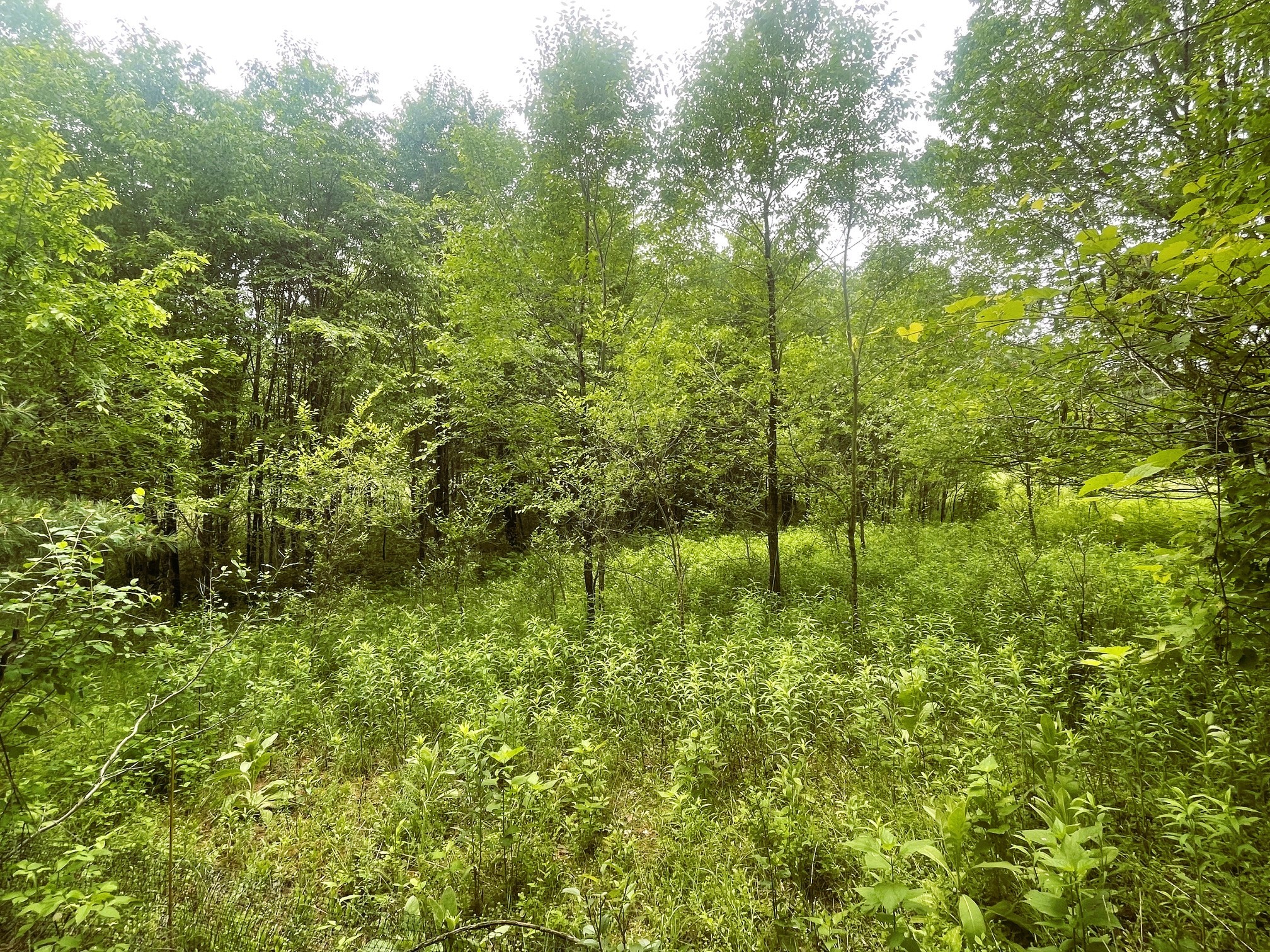 4715 Olson Drive Eau Claire WI 54703 1601978 image13