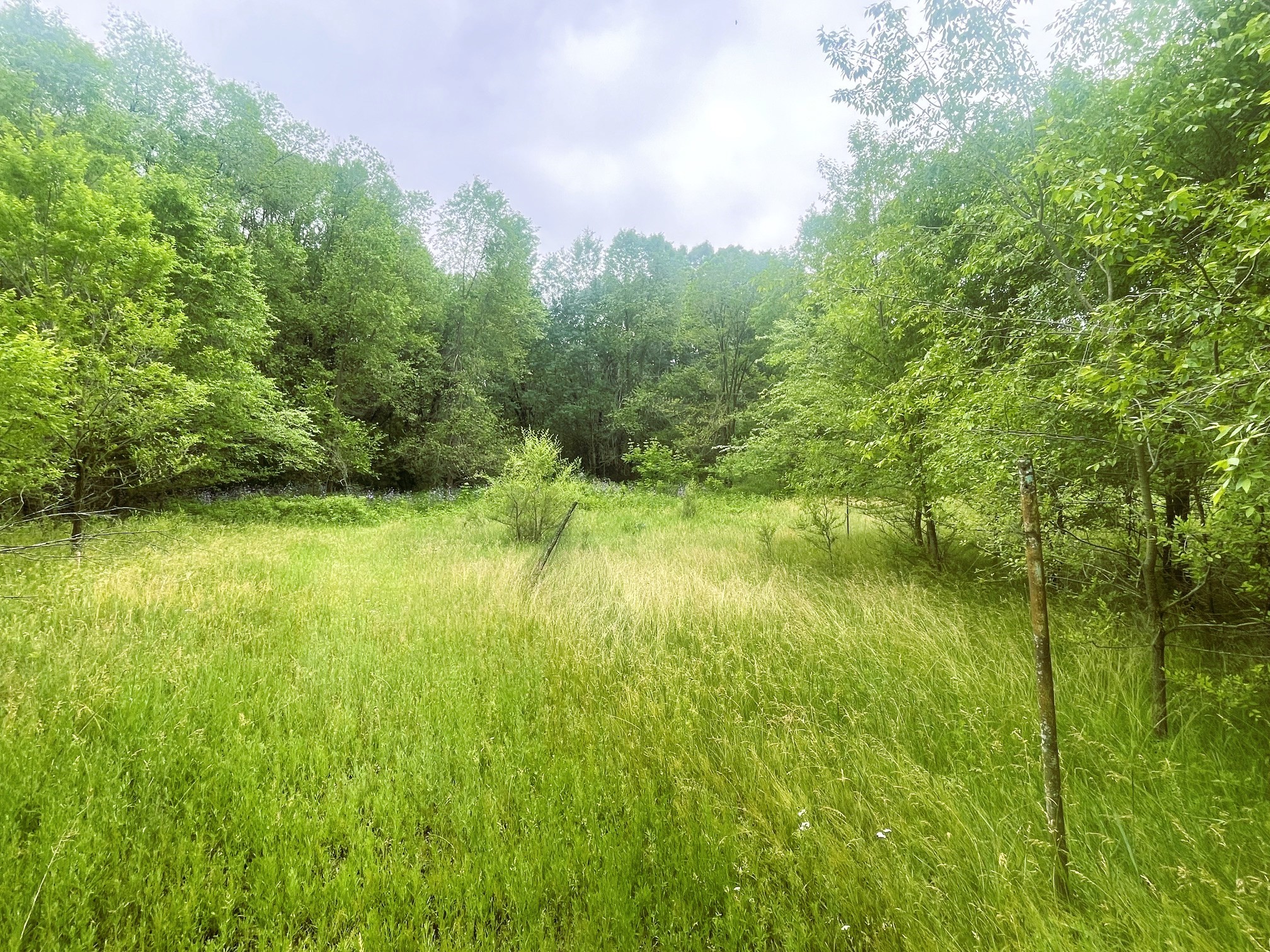 4715 Olson Drive Eau Claire WI 54703 1601978 image14