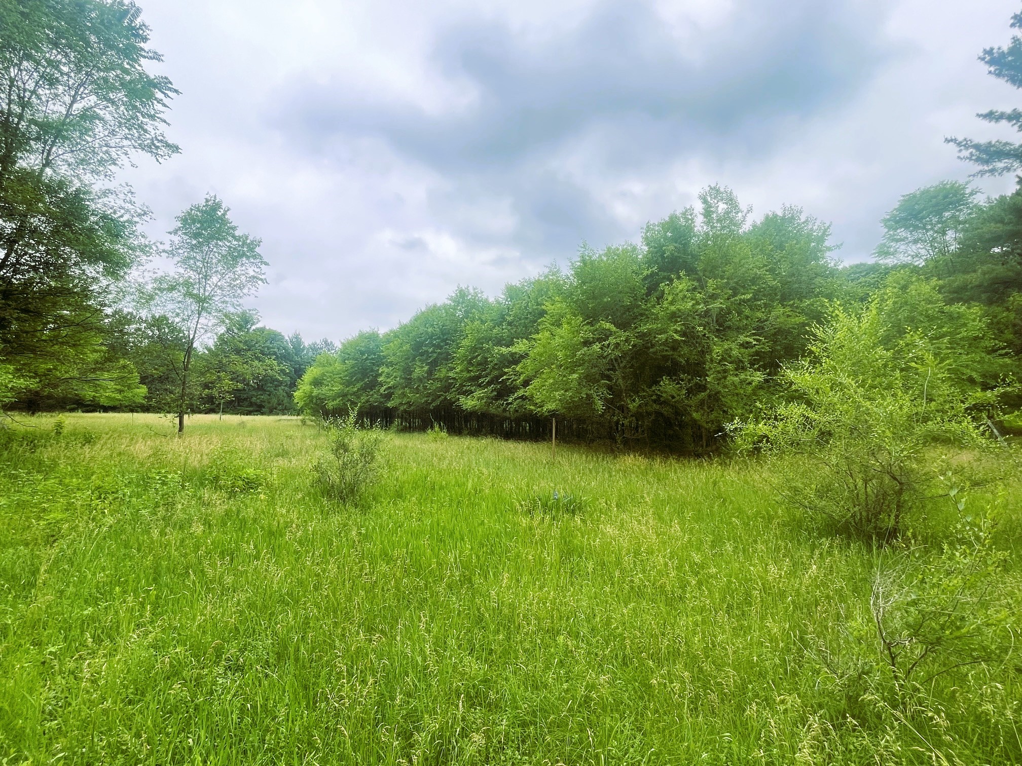 4715 Olson Drive Eau Claire WI 54703 1601978 image16