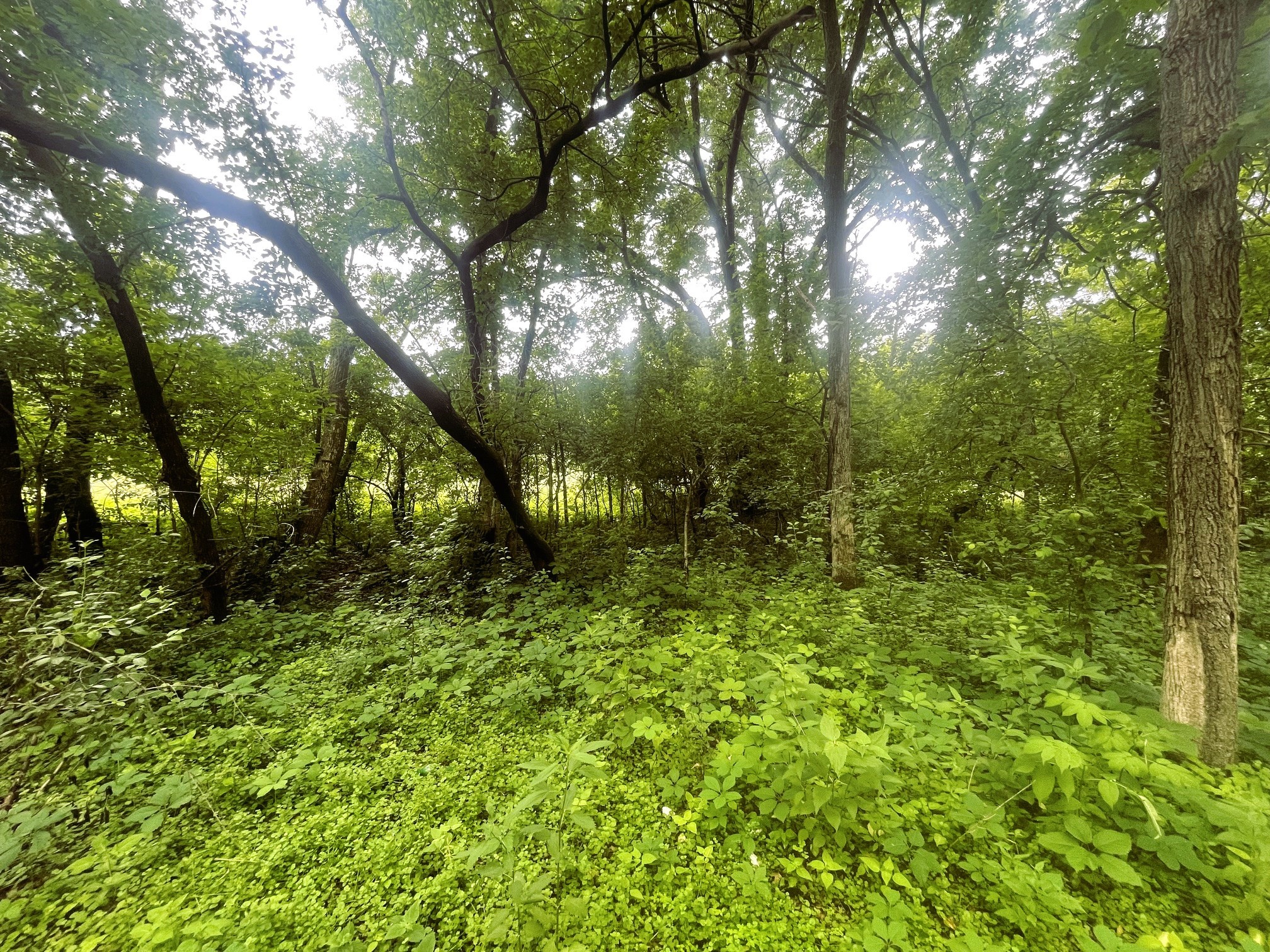 4715 Olson Drive Eau Claire WI 54703 1601978 image19