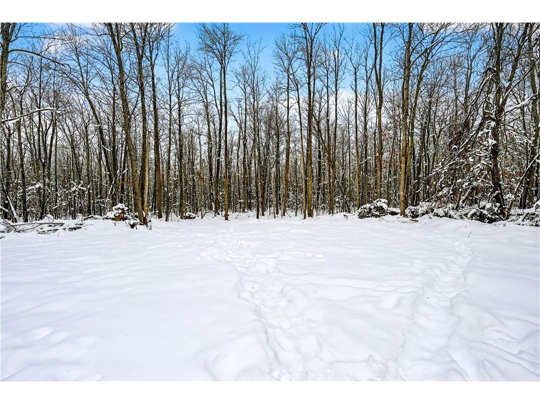 4748W Butler Road Winter WI 54896 1597772 image43
