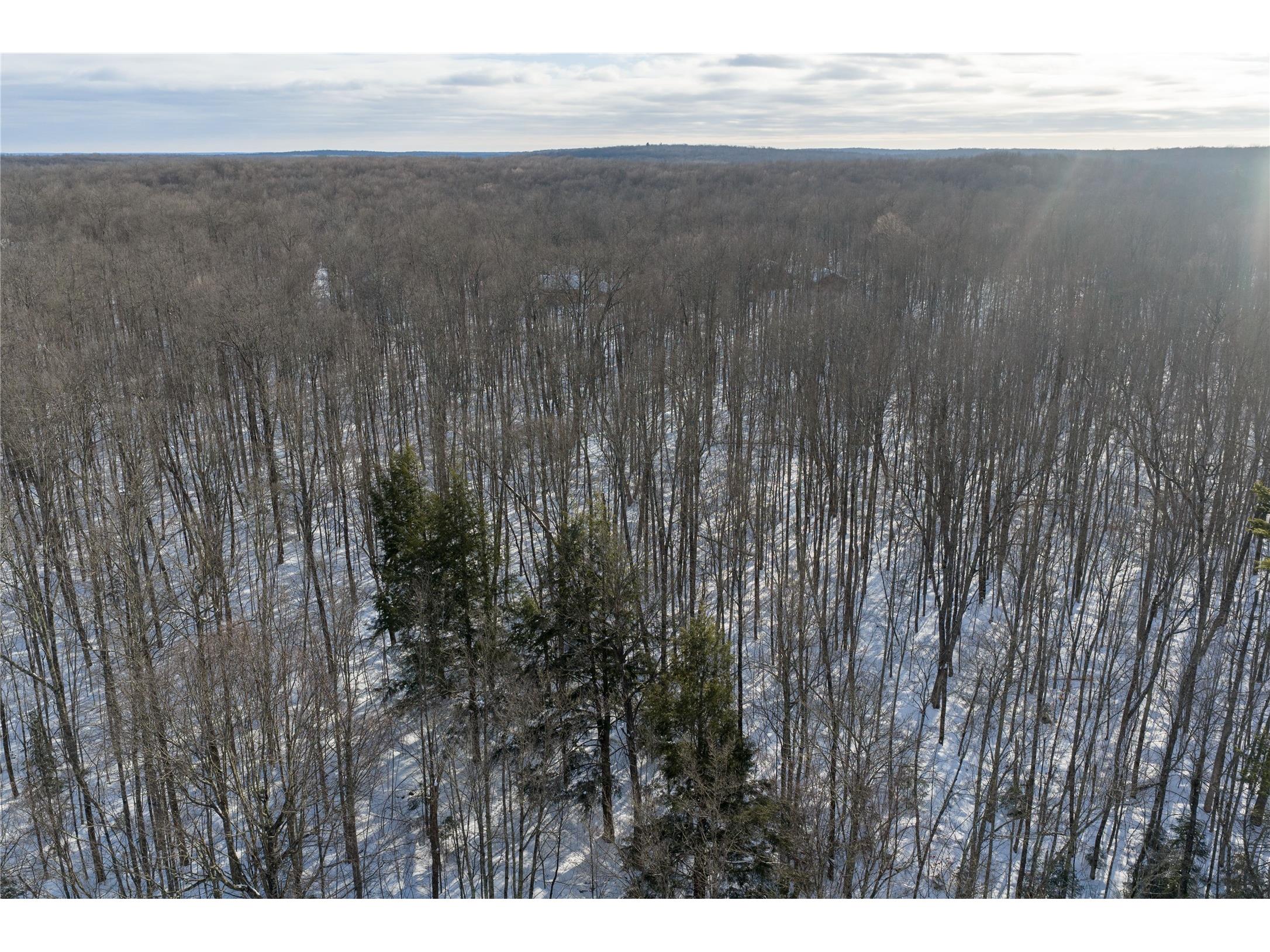 4748W Butler Road Winter WI 54896 1597772 image54