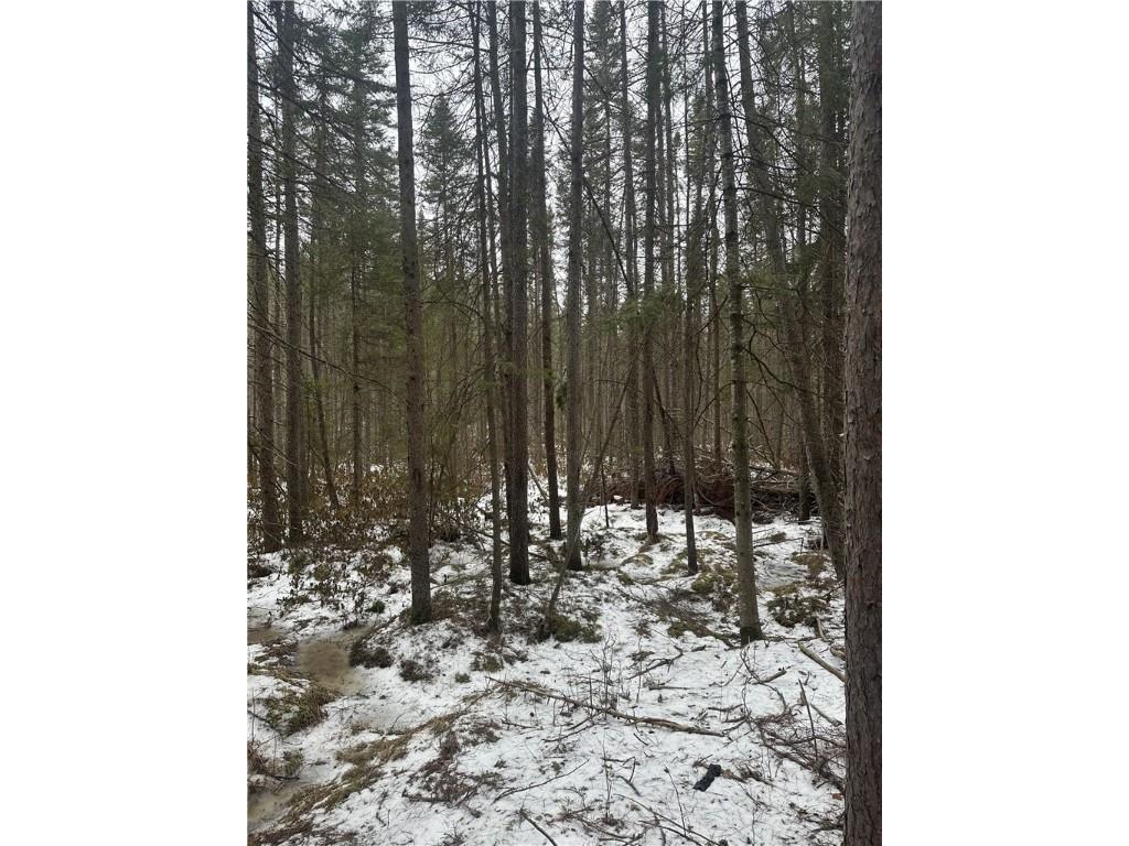 4788 Wi-17 Rhinelander WI 54501 1589937 image10