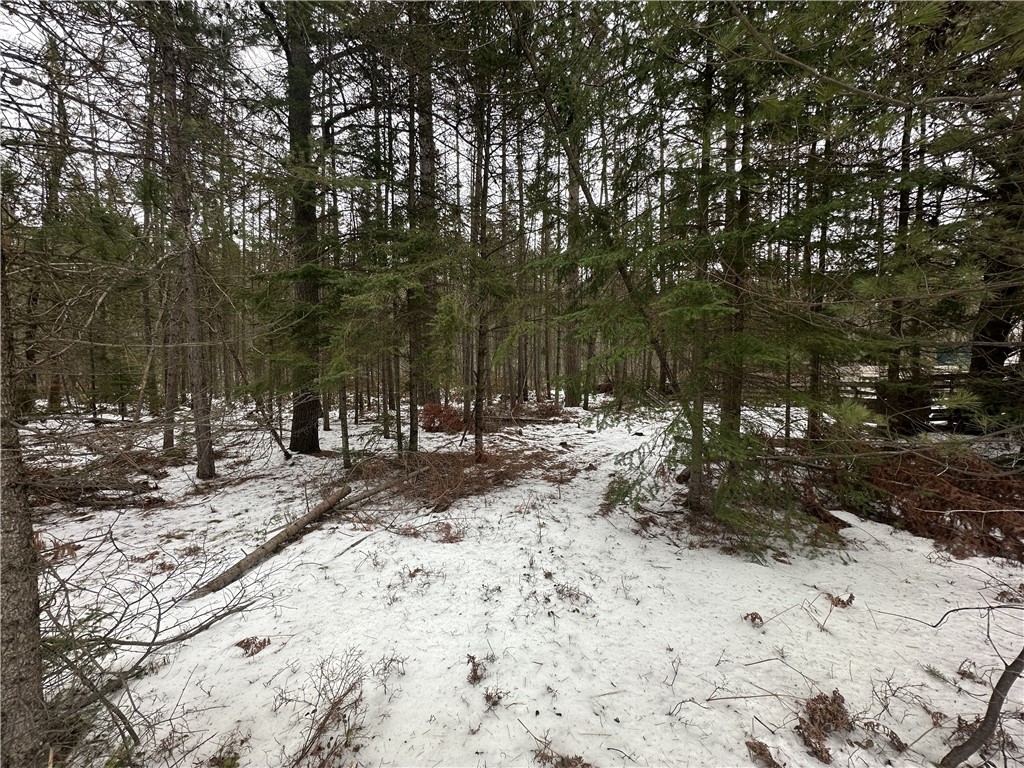 4788 Wi-17 Rhinelander WI 54501 1589937 image5