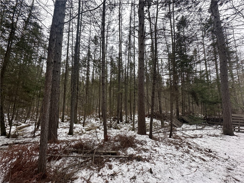 4788 Wi-17 Rhinelander WI 54501 1589937 image7