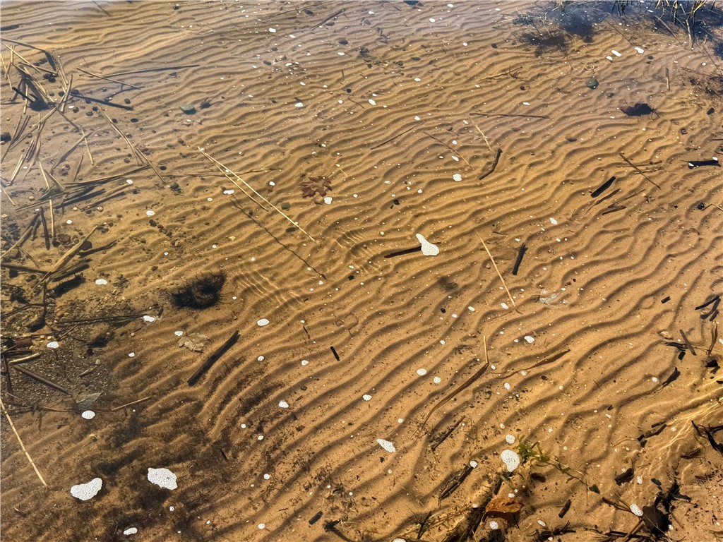 4800 N Basswood Drive Webster WI 54893 - Big Sand Lake 1596328 image15