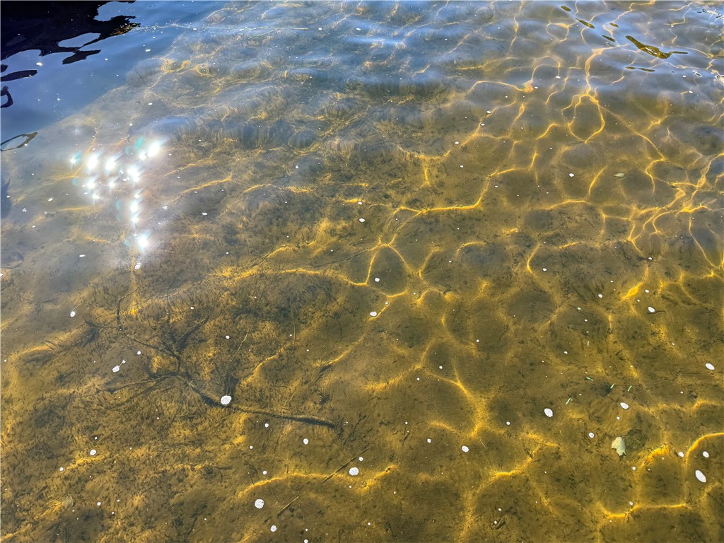 4800 N Basswood Drive Webster WI 54893 - Big Sand Lake 1596328 image16