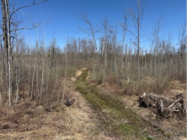 4819N Horse Creek Trail Ojibwa WI 54862 - Crazy Horse 1600682 image1