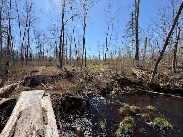 4819N Horse Creek Trail Ojibwa WI 54862 - Crazy Horse 1600682 image10