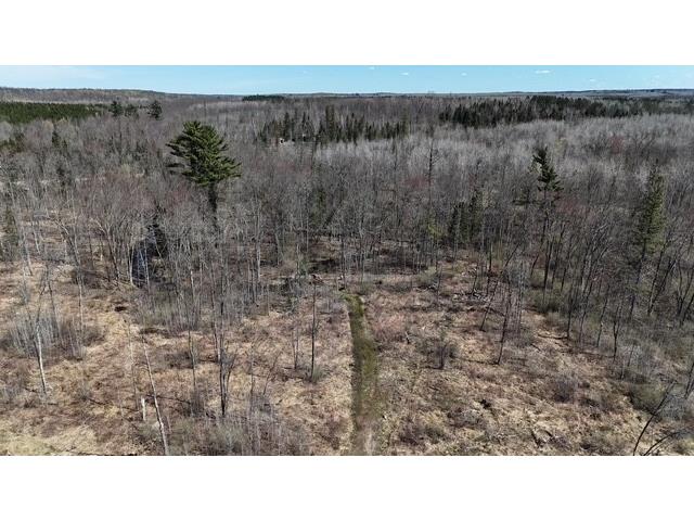 4819N Horse Creek Trail Ojibwa WI 54862 - Crazy Horse 1600682 image13