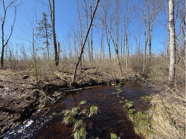 4819N Horse Creek Trail Ojibwa WI 54862 - Crazy Horse 1600682 image14