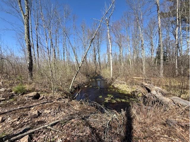 4819N Horse Creek Trail Ojibwa WI 54862 - Crazy Horse 1600682 image15