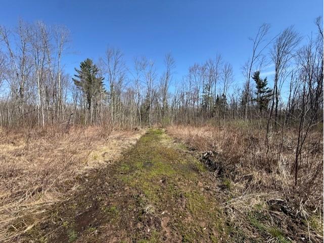 4819N Horse Creek Trail Ojibwa WI 54862 - Crazy Horse 1600682 image2