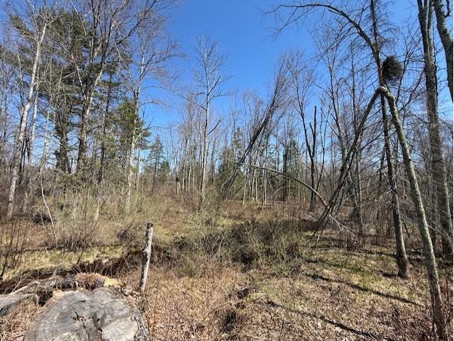 4819N Horse Creek Trail Ojibwa WI 54862 - Crazy Horse 1600682 image3