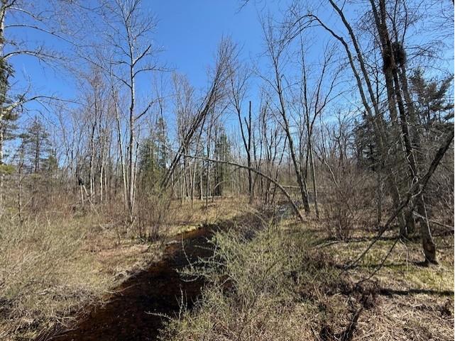 4819N Horse Creek Trail Ojibwa WI 54862 - Crazy Horse 1600682 image5