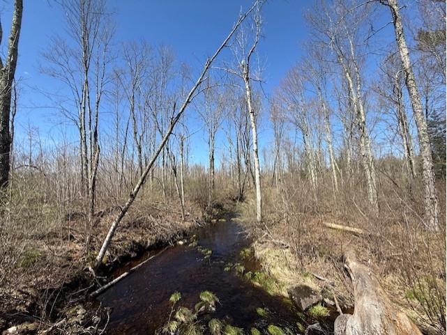 4819N Horse Creek Trail Ojibwa WI 54862 - Crazy Horse 1600682 image6