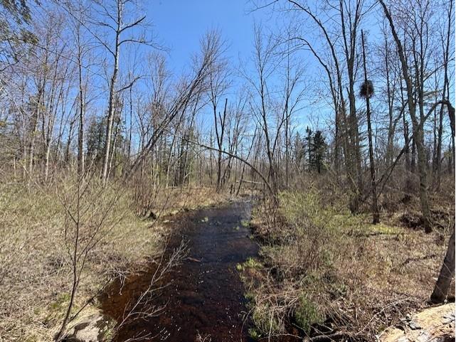 4819N Horse Creek Trail Ojibwa WI 54862 - Crazy Horse 1600682 image7