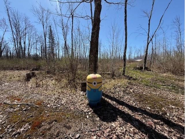 4819N Horse Creek Trail Ojibwa WI 54862 - Crazy Horse 1600682 image8