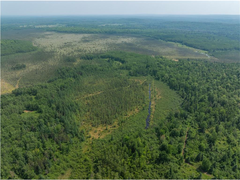 486.02 Acres Cemetery Road Radisson WI 54867 1592322 image1