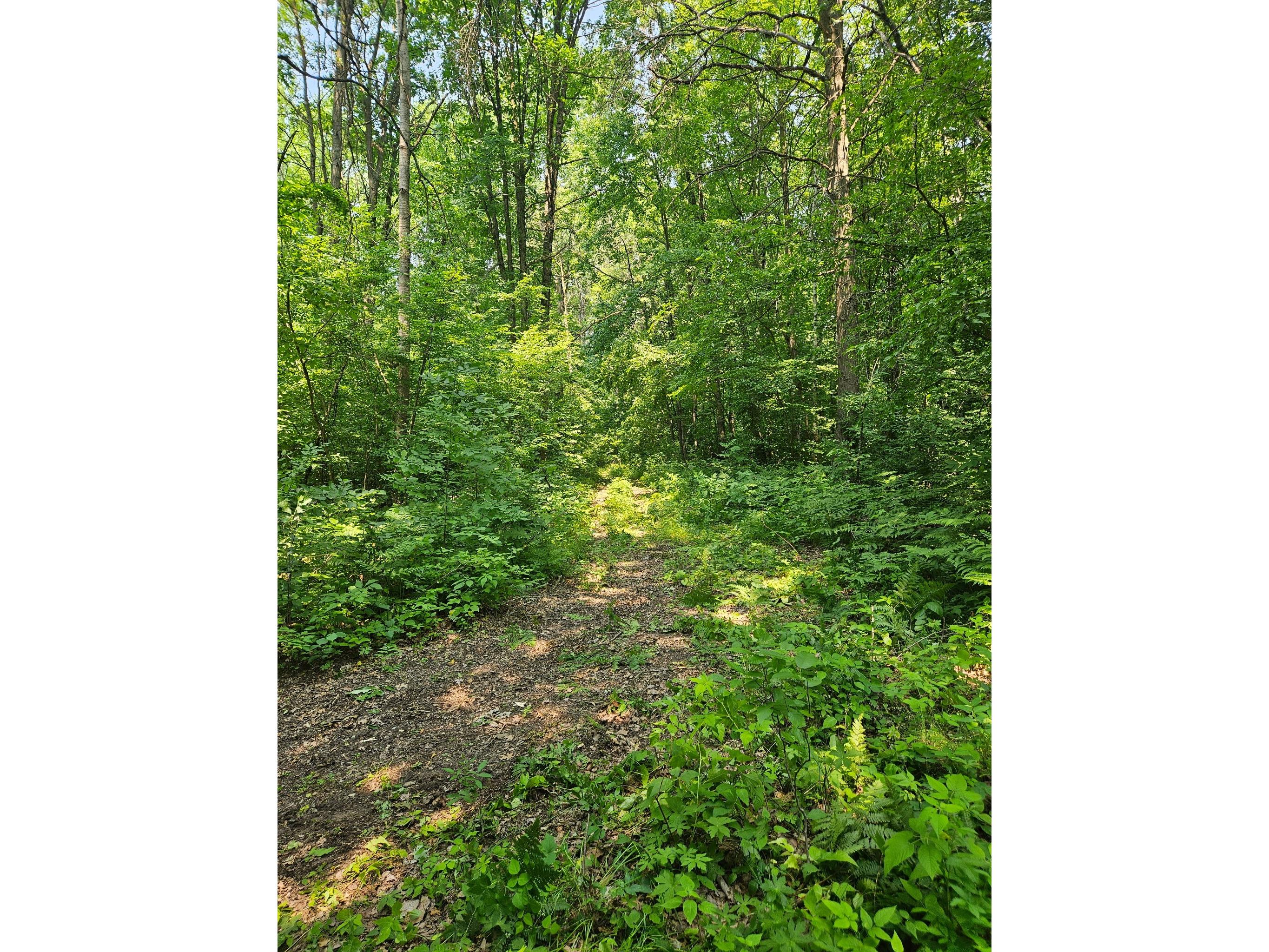 49 acres 16th Avenue Cameron WI 54822 1603187 image1