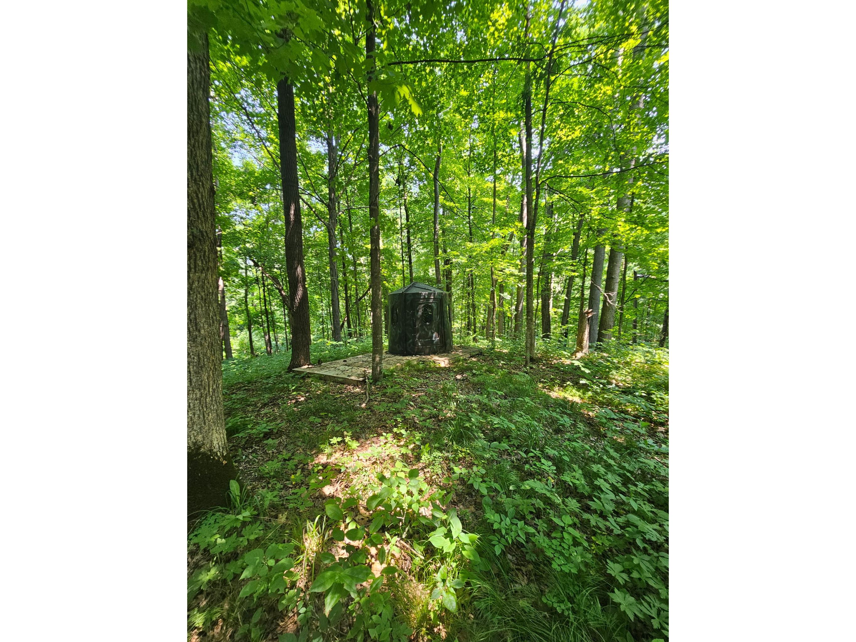 49 acres 16th Avenue Cameron WI 54822 1603187 image14