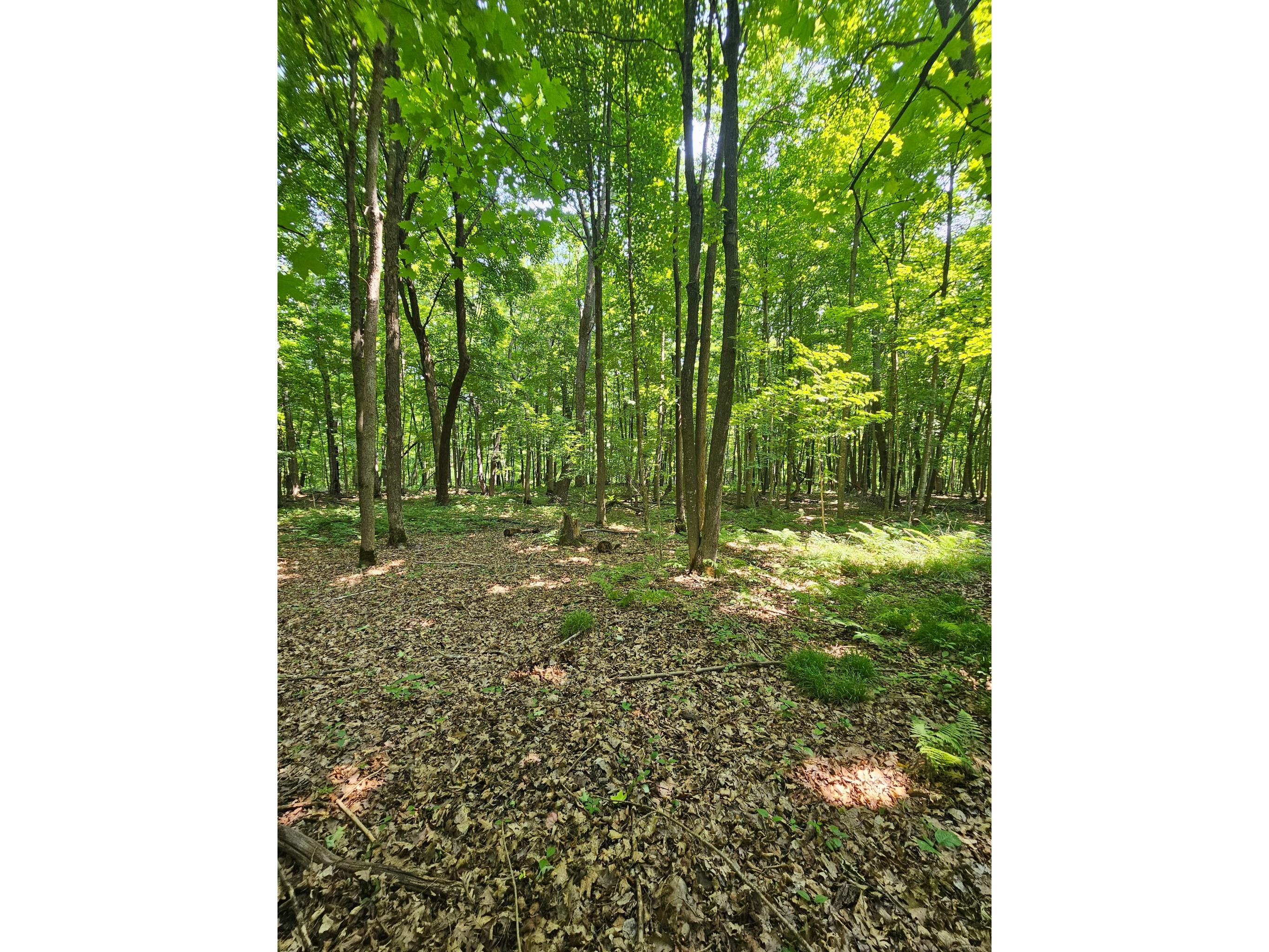 49 acres 16th Avenue Cameron WI 54822 1603187 image15