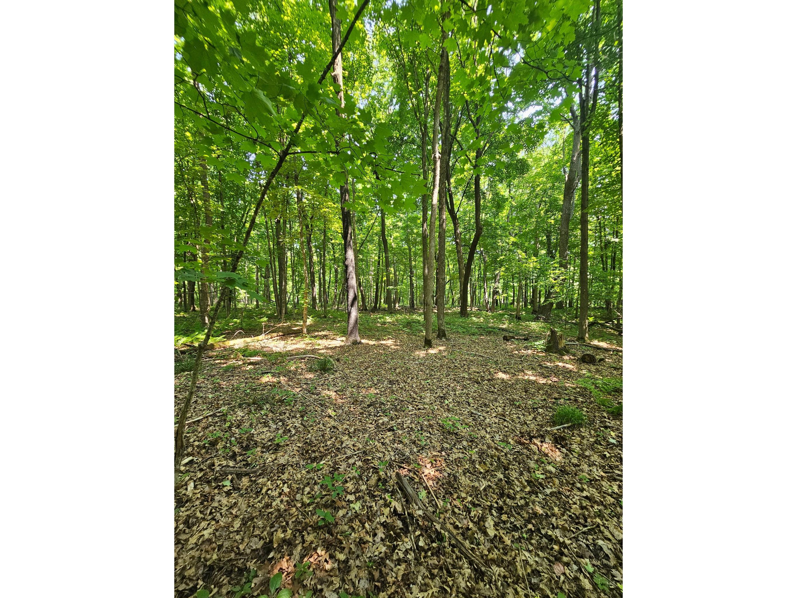 49 acres 16th Avenue Cameron WI 54822 1603187 image16