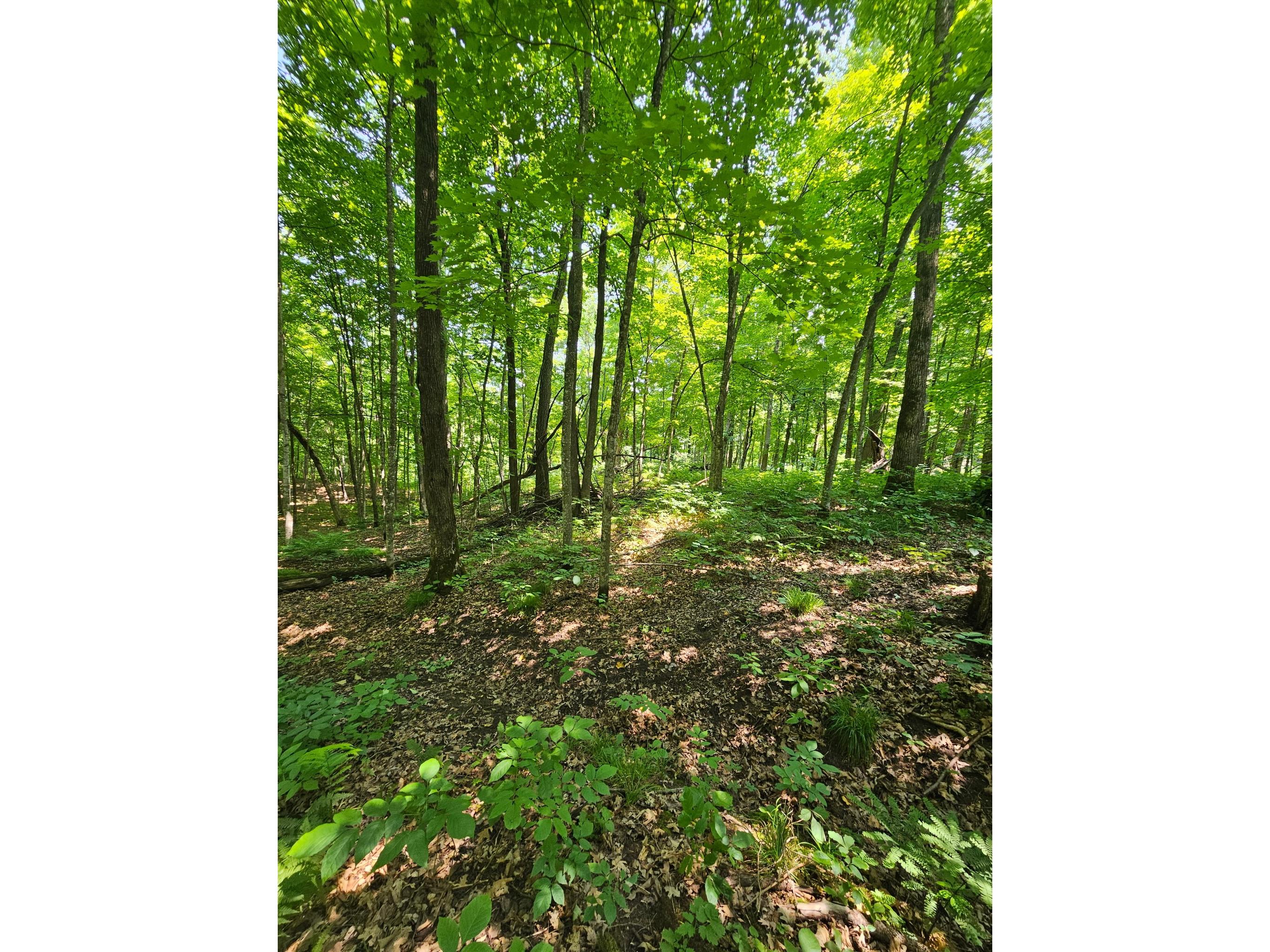 49 acres 16th Avenue Cameron WI 54822 1603187 image19