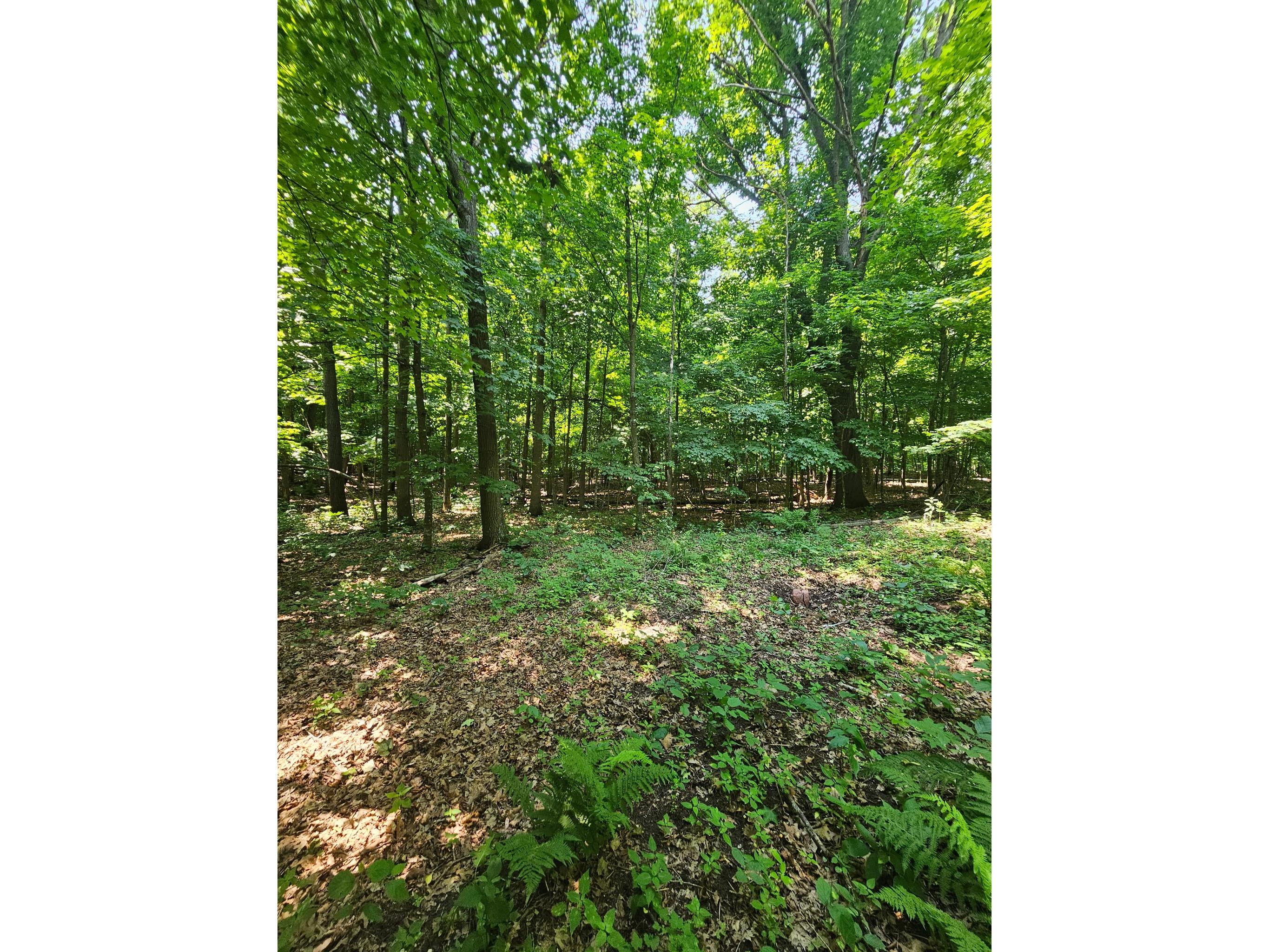 49 acres 16th Avenue Cameron WI 54822 1603187 image21
