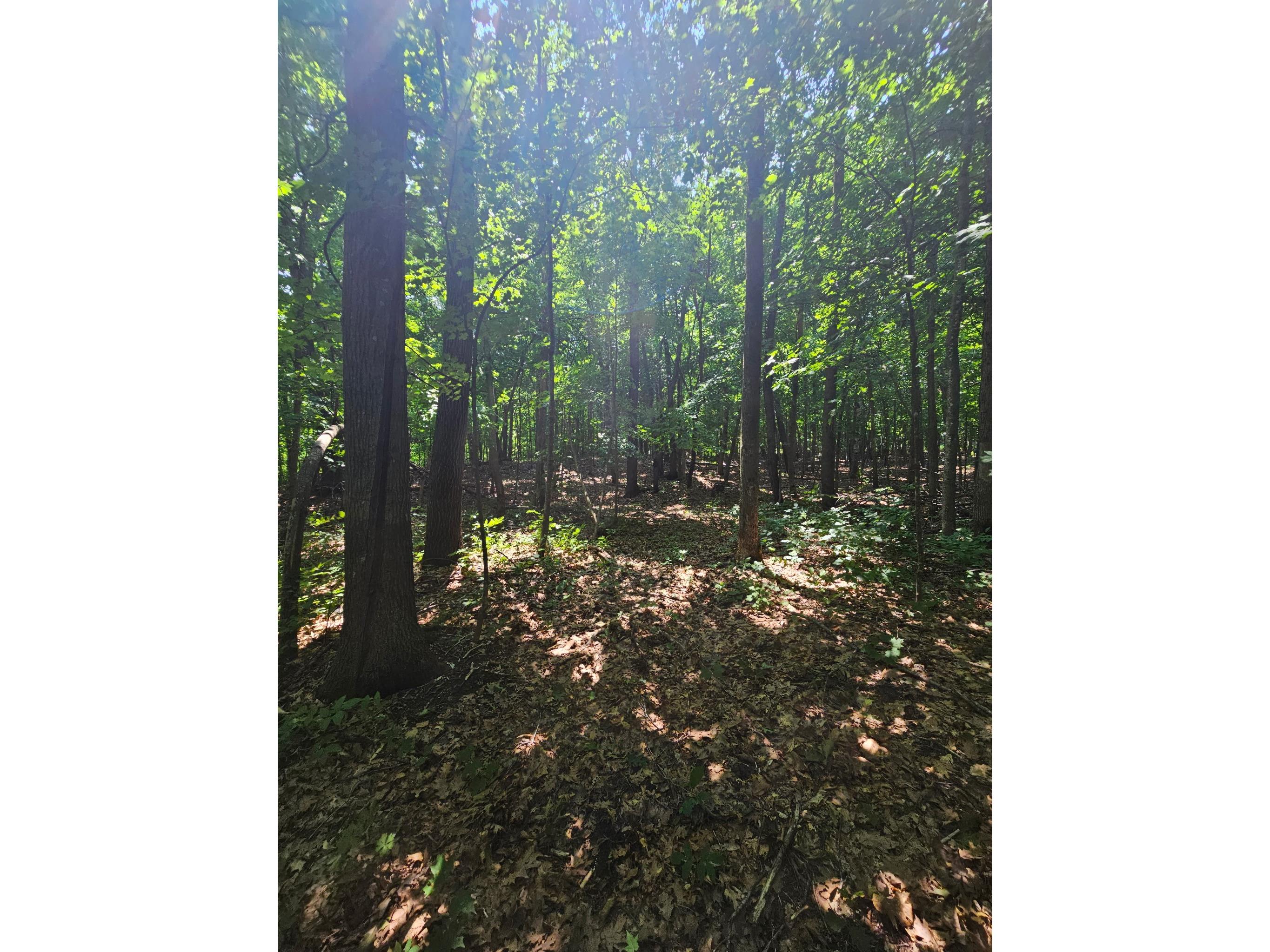 49 acres 16th Avenue Cameron WI 54822 1603187 image22