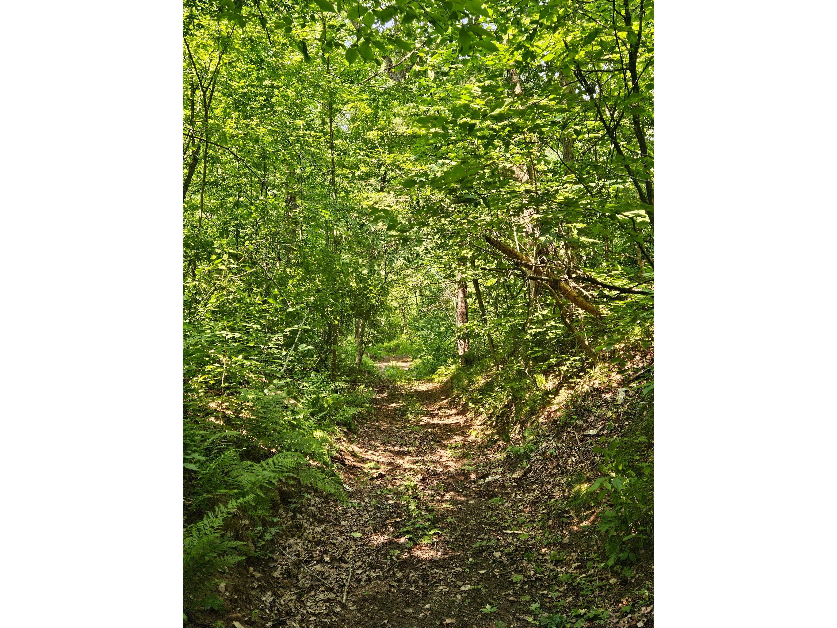 49 acres 16th Avenue Cameron WI 54822 1603187 image3